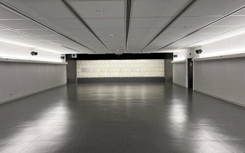 Thermoplastique Piège à balles